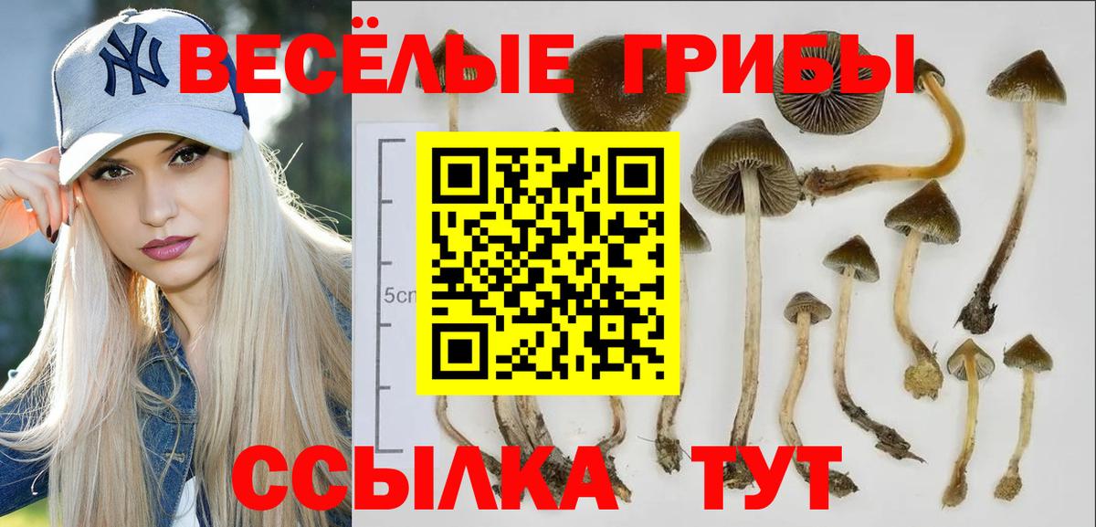 Обнинск  Псилоцибиновые грибы ЛСД  Галлюциногенные грибы Magic Shrooms  Вход с VPN 