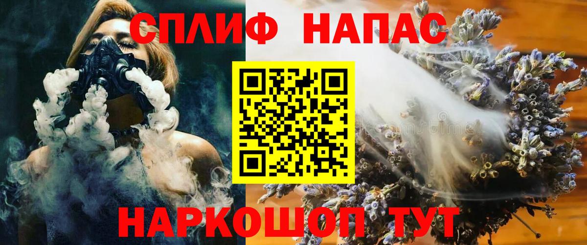 Конопля гибрид Обнинск